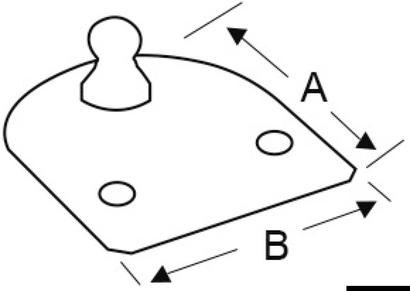 Version Standard, eben