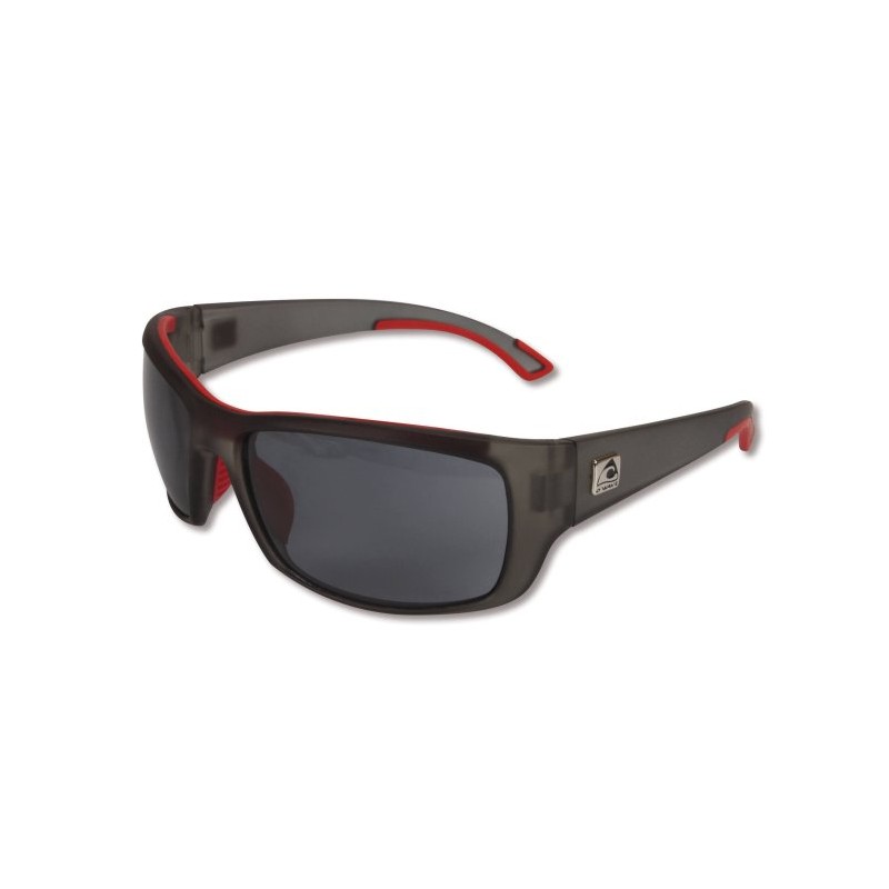 GREYHOUND SUNGLASSES