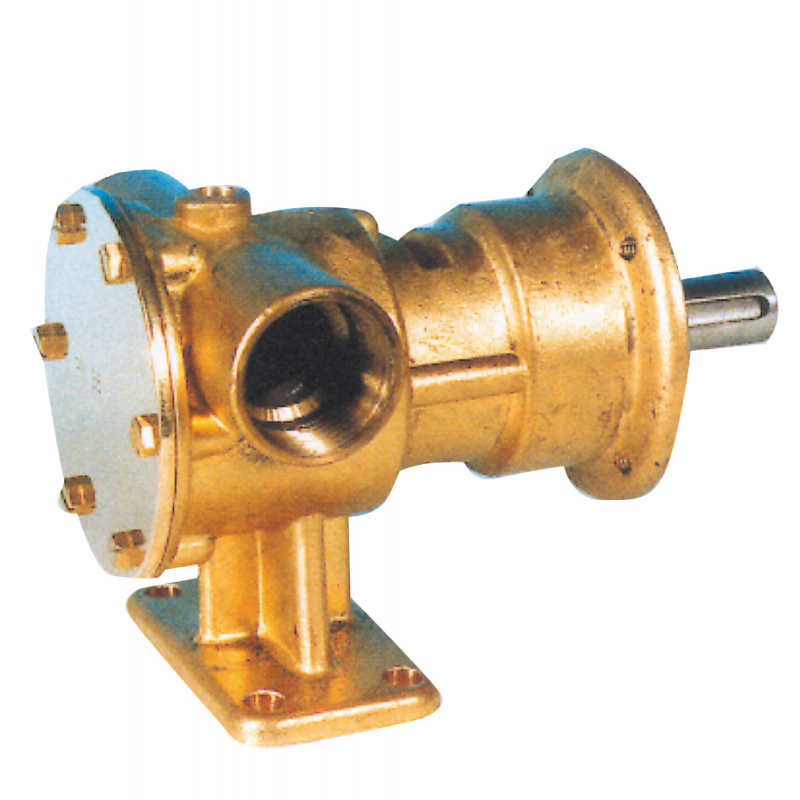 PUMPE PM36